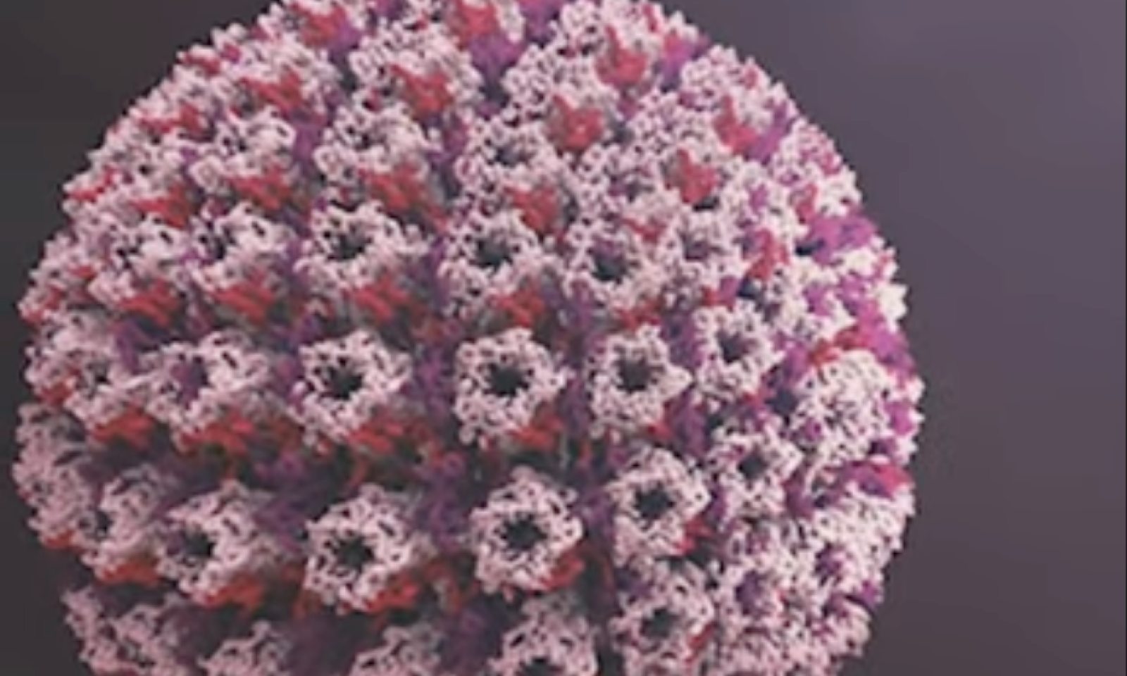 Qué Es El Virus Del Papiloma Humano (VPH)