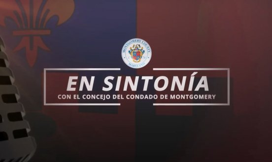 En Sintonía: Ley Trust
